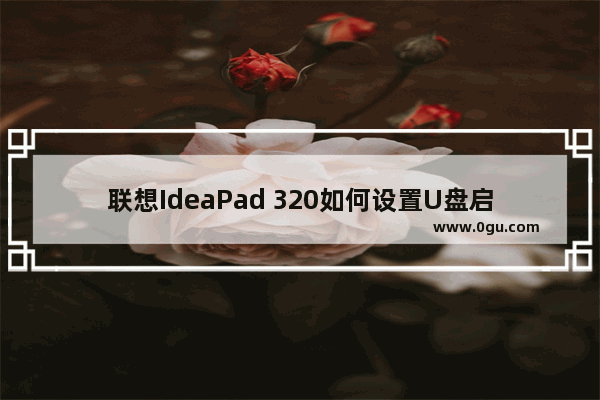 联想IdeaPad 320如何设置U盘启动？BIOS设置U盘启动的教程