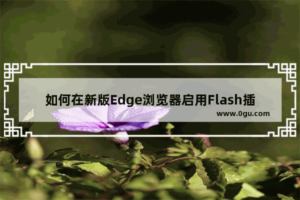 如何在新版Edge浏览器启用Flash插件