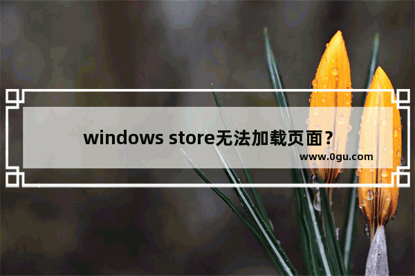 windows store无法加载页面？多种解决方法，轻松解决windows store无法加载的问题