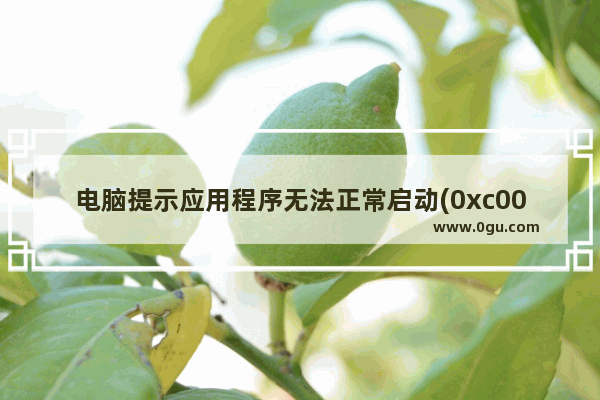 电脑提示应用程序无法正常启动(0xc0000142)的处理方法