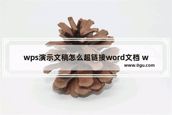 wps演示文稿怎么超链接word文档 wps演示文稿超链接word文档方法