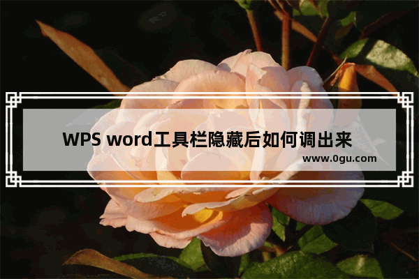 WPS word工具栏隐藏后如何调出来 WPS word恢复工具栏的方法