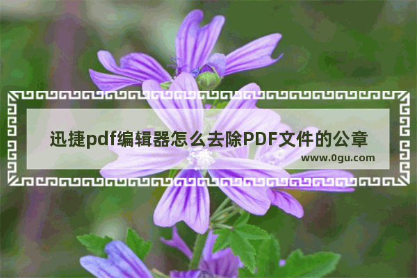 迅捷pdf编辑器怎么去除PDF文件的公章 迅捷pdf编辑器删除PDF文件中的公章的方法