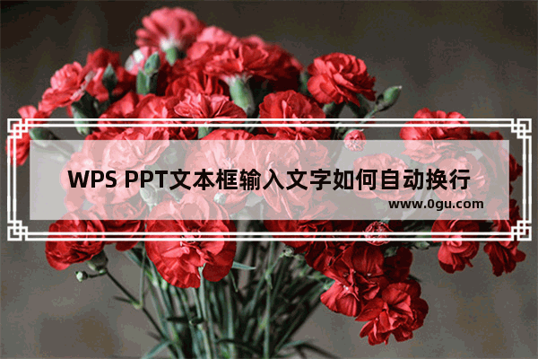 WPS PPT文本框输入文字如何自动换行 WPS PPT文本框输入文字自动换行的设置方法