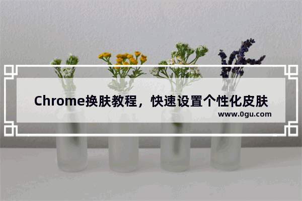 Chrome换肤教程，快速设置个性化皮肤！