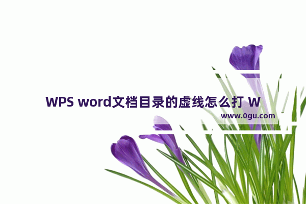 WPS word文档目录的虚线怎么打 WPS word文档目录的虚线设置方法