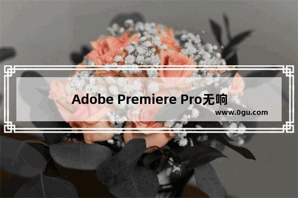 Adobe Premiere Pro无响应问题解决方法 Premiere Pro打不开的解决技巧