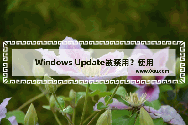 Windows Update被禁用？使用简单恢复方法解决