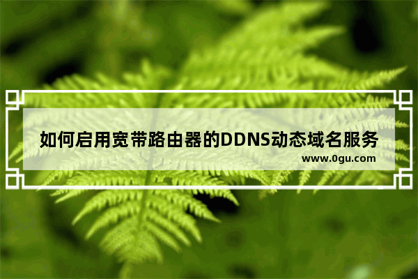 如何启用宽带路由器的DDNS动态域名服务怎样配置路由器的动态域名