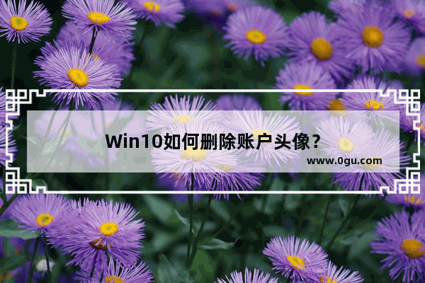 Win10如何删除账户头像？