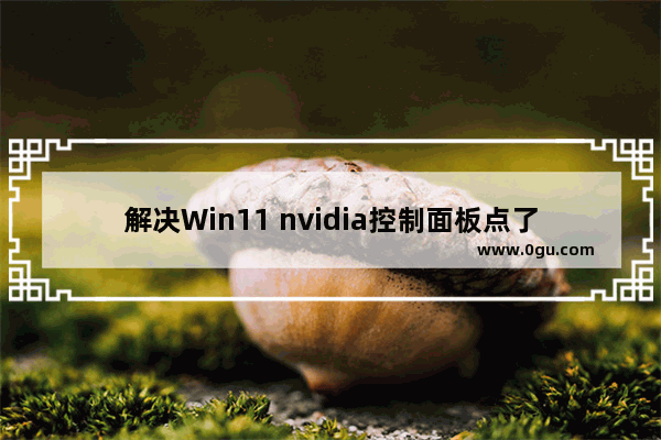 解决Win11 nvidia控制面板点了没反应的问题