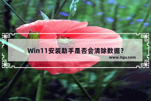 Win11安装助手是否会清除数据？