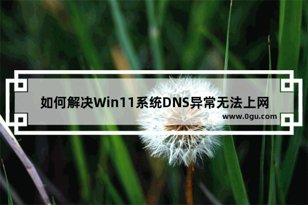 如何解决Win11系统DNS异常无法上网的问题？