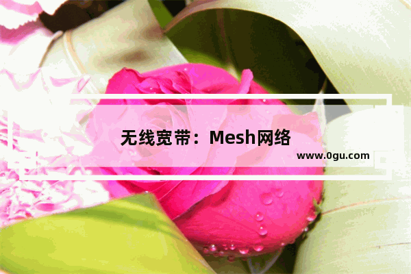 无线宽带：Mesh网络