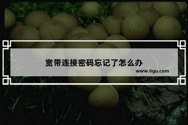 宽带连接密码忘记了怎么办