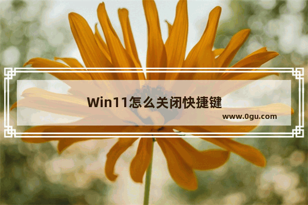 Win11怎么关闭快捷键