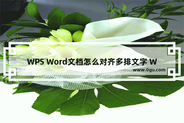 WPS Word文档怎么对齐多排文字 WPS Word文档对齐多排文字的方法