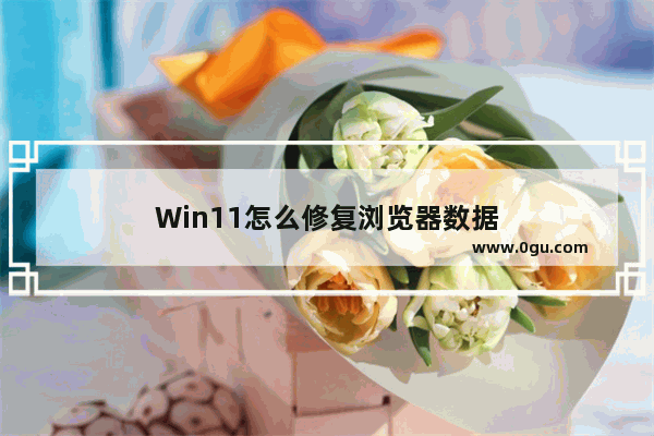 Win11怎么修复浏览器数据