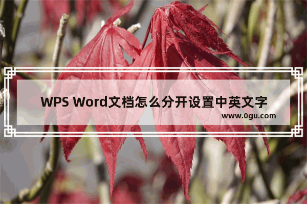 WPS Word文档怎么分开设置中英文字体 WPS Word文档分开设置中英文字体的方法