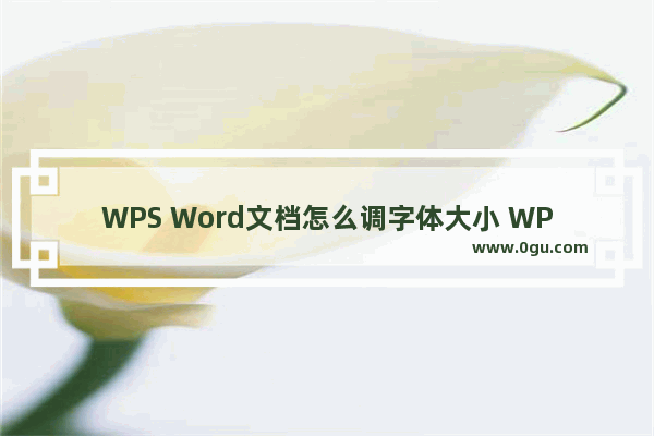 WPS Word文档怎么调字体大小 WPS Word文档调字体大小的方法