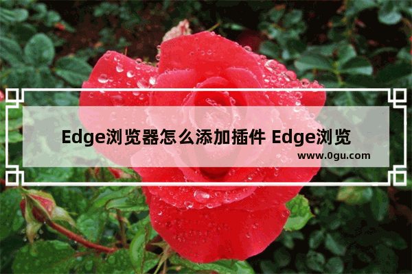 Edge浏览器怎么添加插件 Edge浏览器添加插件的方法