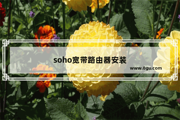 soho宽带路由器安装