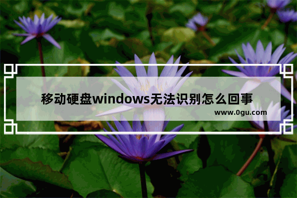 移动硬盘windows无法识别怎么回事 移动硬盘无法识别如何解决