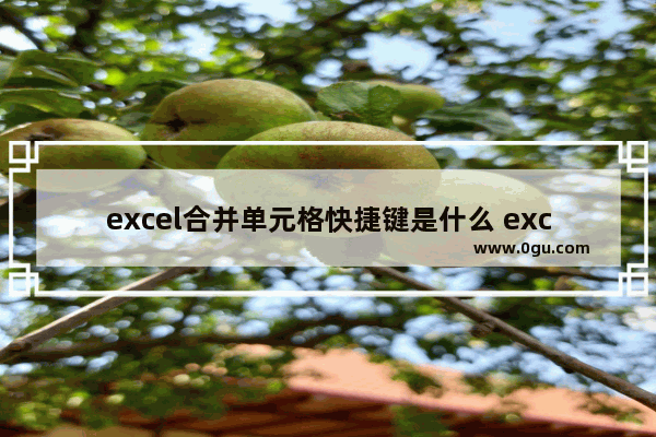 excel合并单元格快捷键是什么 excel合并居中快捷键是哪个