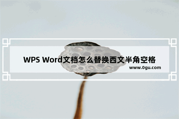 WPS Word文档怎么替换西文半角空格 WPS Word文档替换西文半角空格的方法