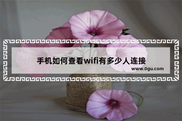 手机如何查看wifi有多少人连接