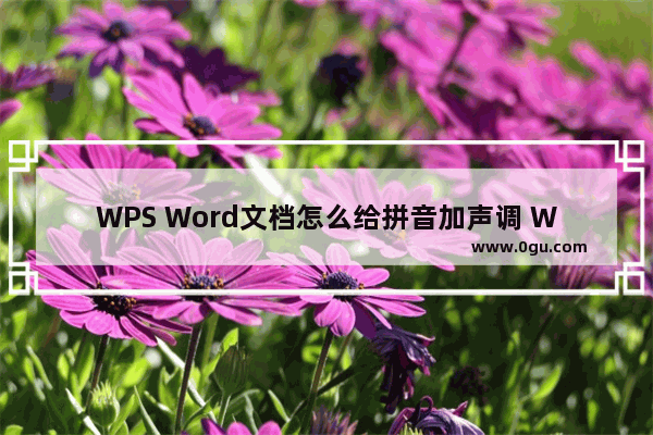 WPS Word文档怎么给拼音加声调 WPS Word文档拼音加声调的方法