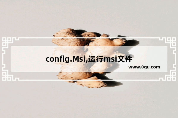 config.Msi,运行msi文件