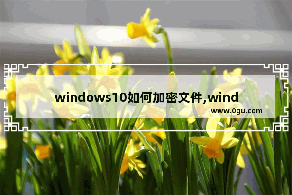 windows10如何加密文件,windows8怎么给文件夹加密