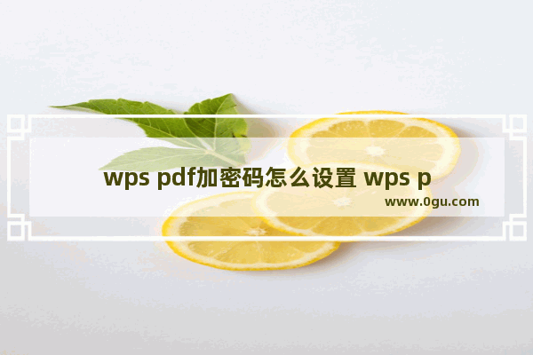 wps pdf加密码怎么设置 wps pdf加密码的设置方法