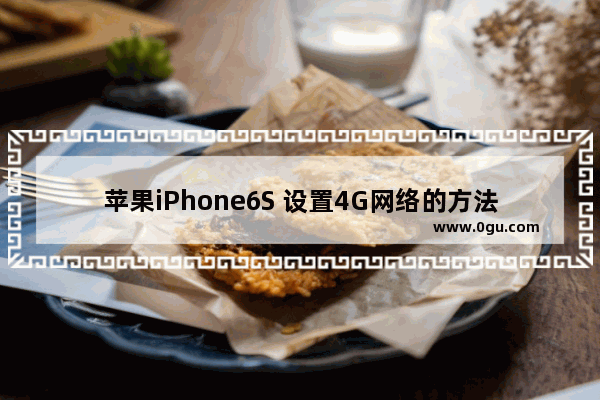 苹果iPhone6S 设置4G网络的方法