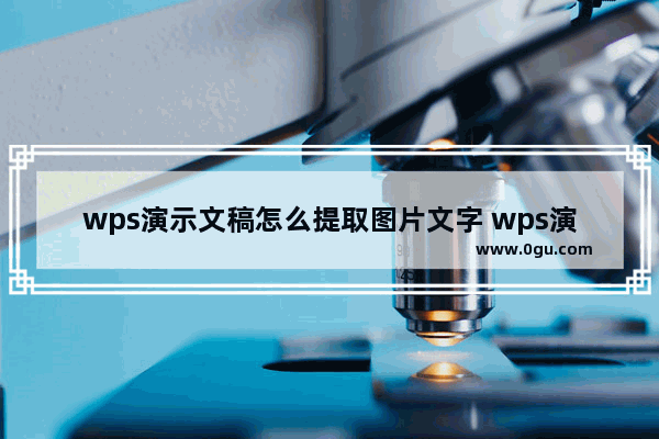 wps演示文稿怎么提取图片文字 wps演示文稿提取图片文字的方法