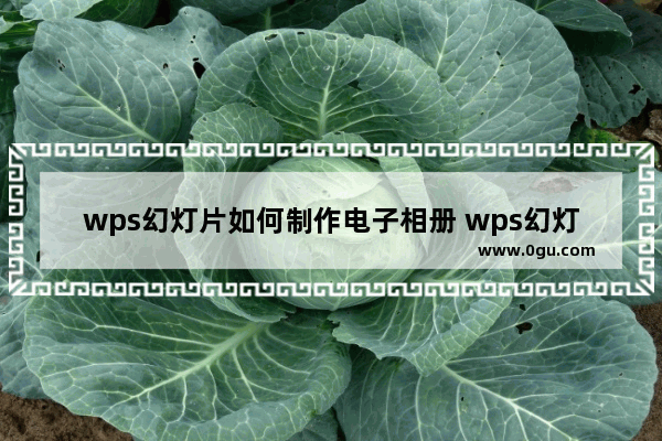 wps幻灯片如何制作电子相册 wps幻灯片制作电子相册的方法