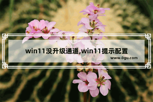 win11没升级通道,win11提示配置不够