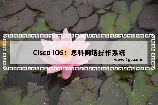 Cisco IOS：思科网络操作系统