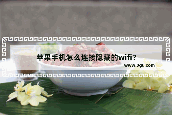 苹果手机怎么连接隐藏的wifi？