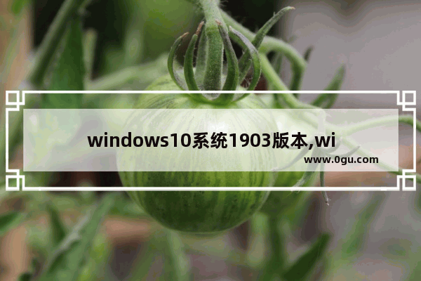 windows10系统1903版本,win101909配置要求