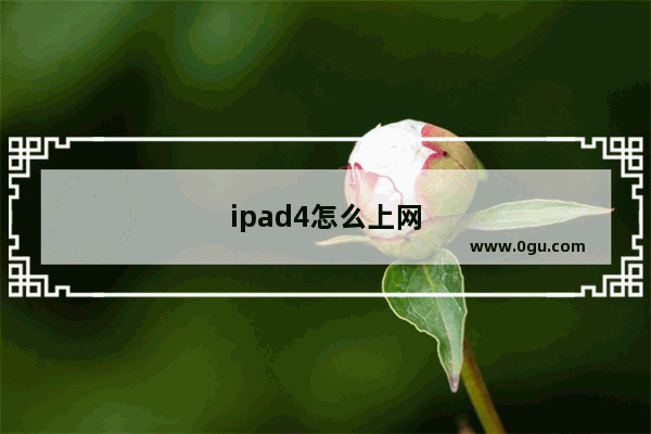 ipad4怎么上网