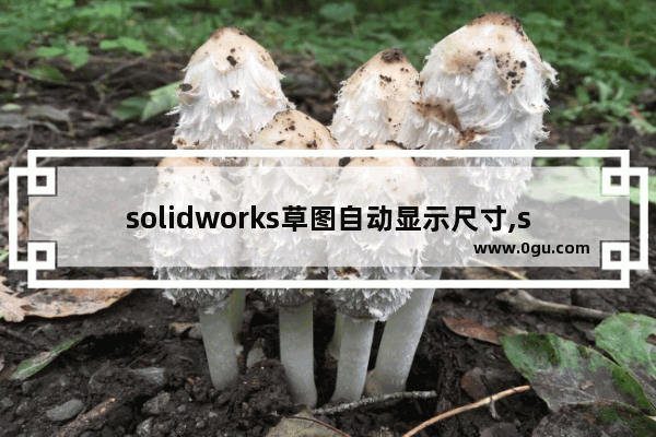 solidworks草图自动显示尺寸,solidworks制作工程图怎么显示尺寸