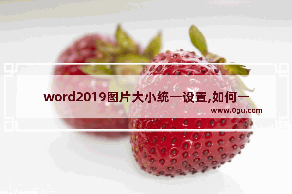 word2019图片大小统一设置,如何一次性调节word2019所有图片