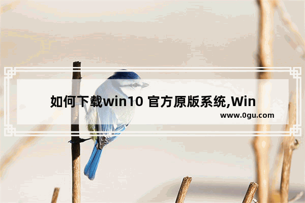 如何下载win10 官方原版系统,Windows10官方原版系统下载