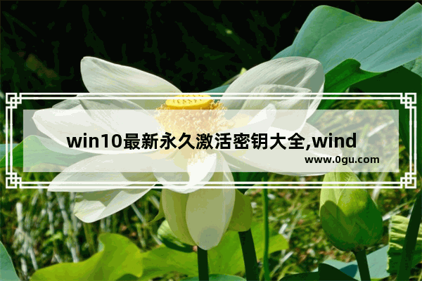 win10最新永久激活密钥大全,windows10激活密钥永久版