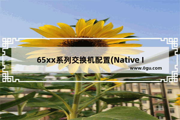 65xx系列交换机配置(Native IOS)(1)