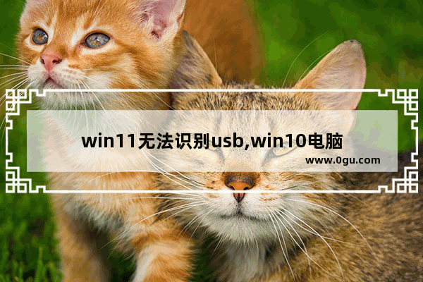 win11无法识别usb,win10电脑usb接口突然失灵了怎么办