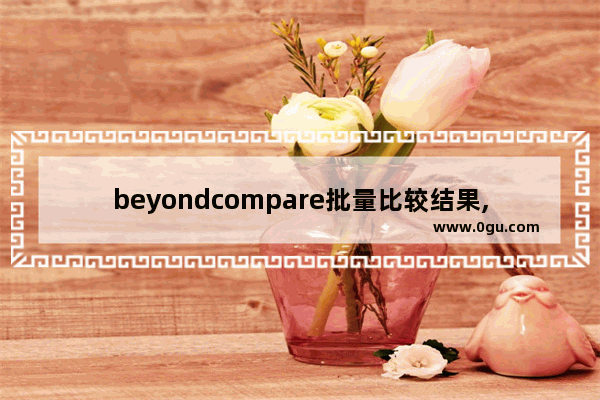 beyondcompare批量比较结果,beyond compare怎么导出比较结果