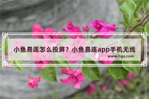 小鱼易连怎么投屏？小鱼易连app手机无线投屏使用方法